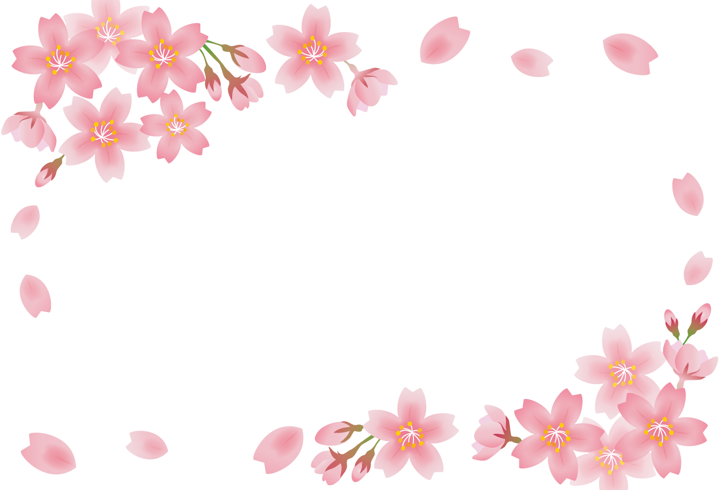 桜の画像 原寸画像検索