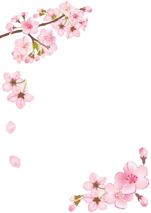 桜の花のフレーム・枠　縦